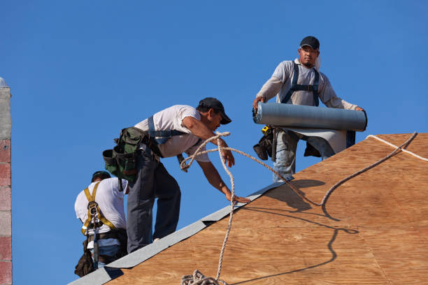 Best New Roof Installation  in Wardsville, MO