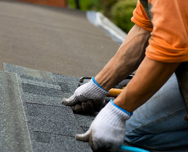 Best Shingle Roofing Installation  in Wardsville, MO