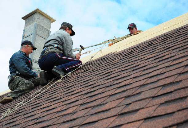 Best Roof Repair Services  in Wardsville, MO