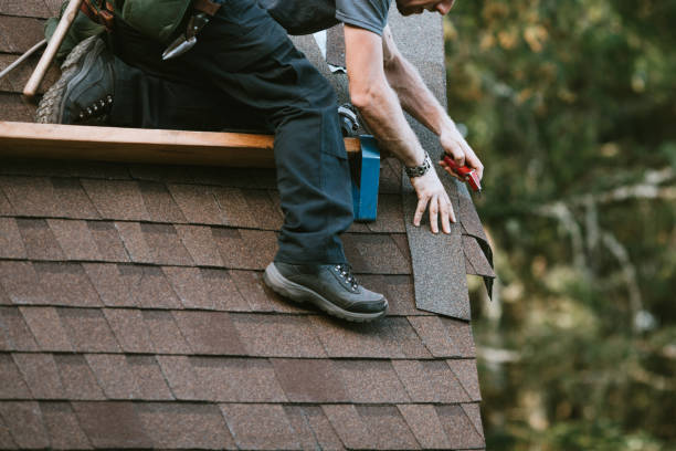 Best Roof Inspection Near Me  in Wardsville, MO
